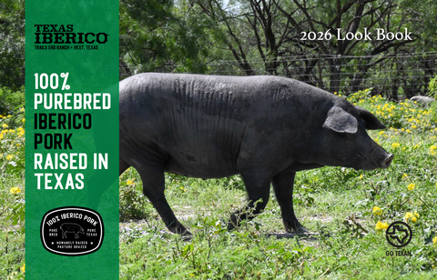Texas Iberico pork book cover with a pig in a field