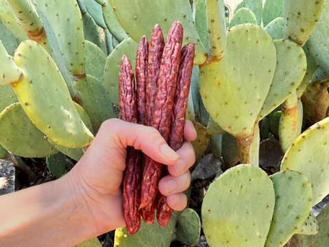 Texas Iberico Snacking Sticks